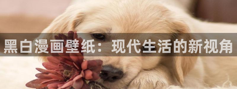 漫蛙漫画网页版免费进入：黑白漫画壁纸：现代生活的新视角