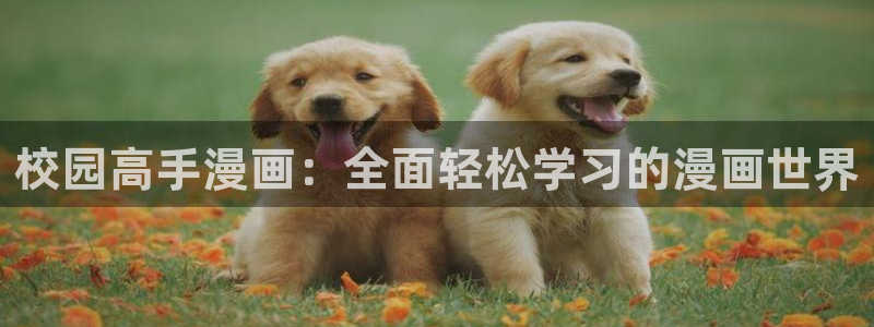 漫蛙漫画免费下载安装：校园高手漫画：全面轻松学习的漫画世界
