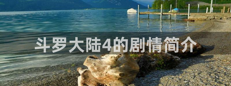 漫蛙网页版入口在哪：斗罗大陆4的剧情简介
