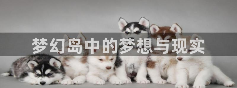 漫蛙1.1.8版本manwaa2：梦幻岛中的梦想与现实