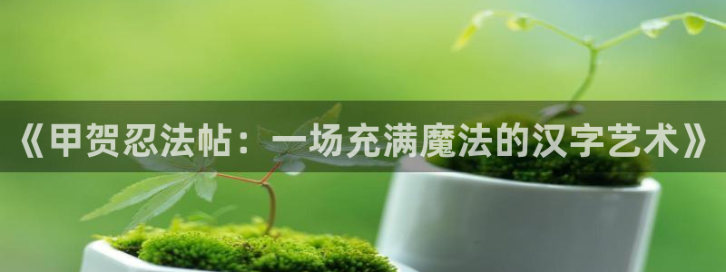 漫蛙苹果下载：《甲贺忍法帖：一场充满魔法的汉字艺术》