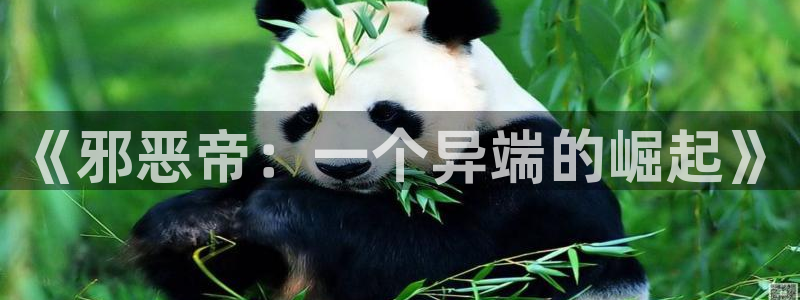 漫蛙网：《邪恶帝：一个异端的崛起》